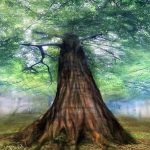 Yggdrasil